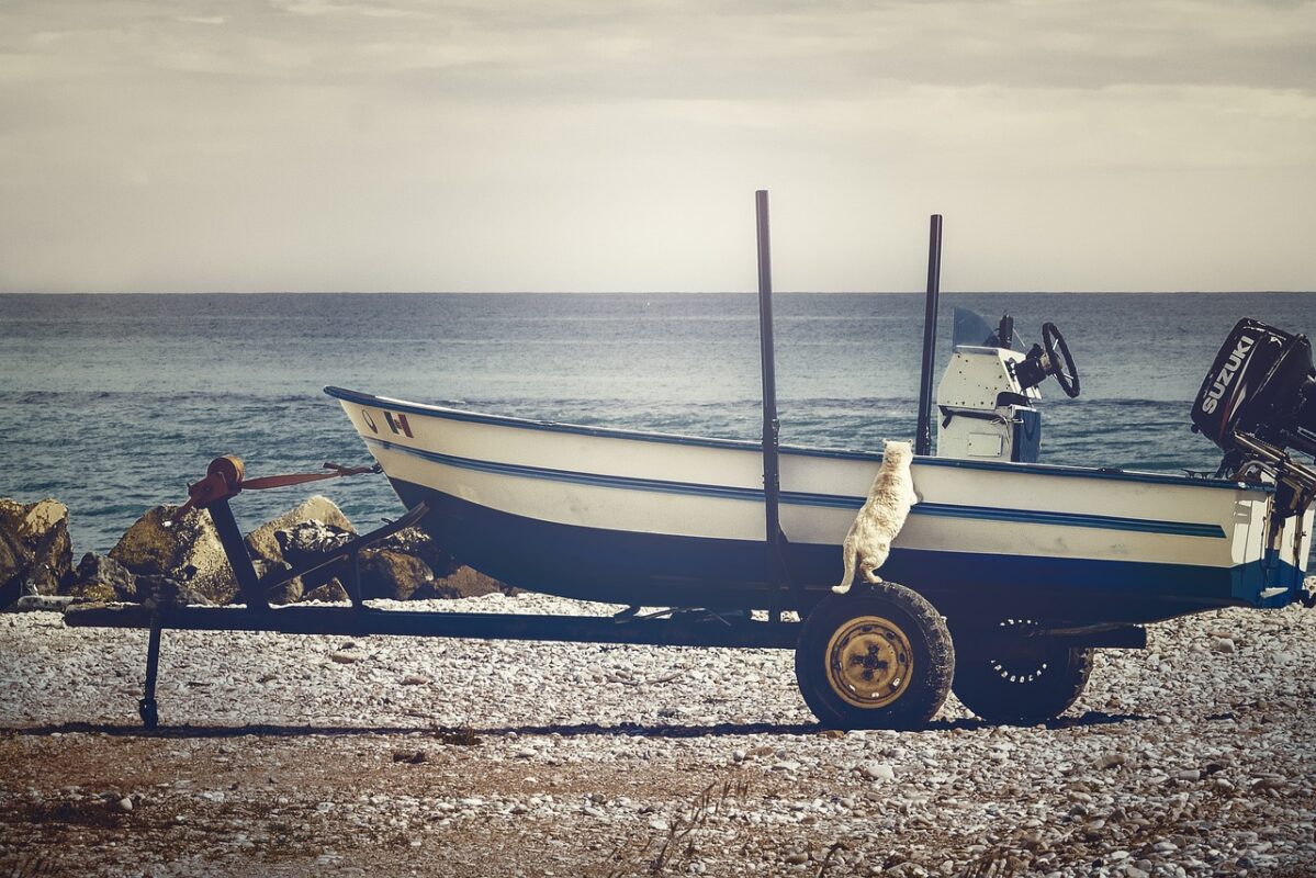 silniki zaburtowe Suzuki